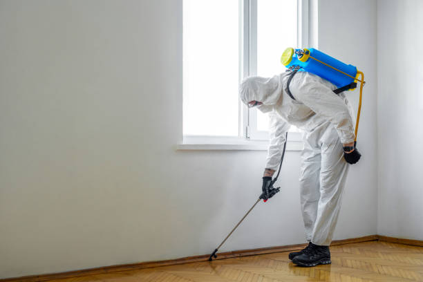 Best Residential Pest Control  in East Aurora, NY